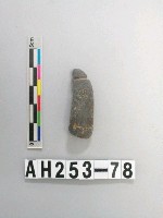 藏品(兩縊型石網墜)的圖片